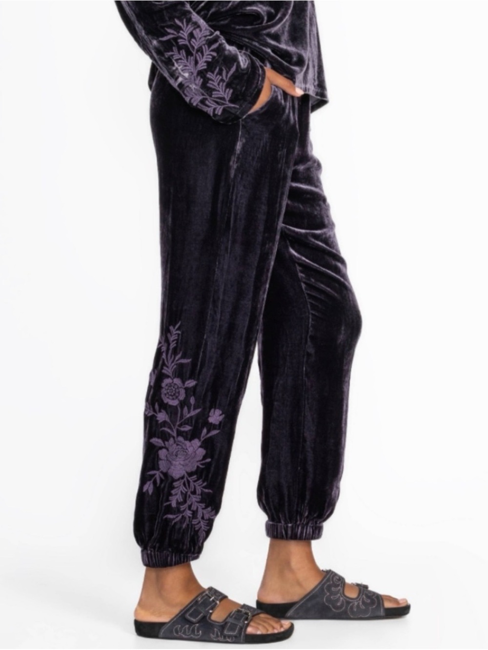 Women’s Eggplant/Deep Purple Velvet Drawstring Jogger Pants — Johnny Was
